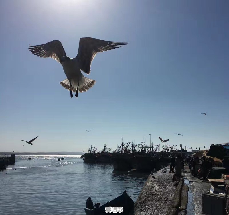 泪流某个海是什么意思 泪流某个海是什么意思 - 爱唱歌