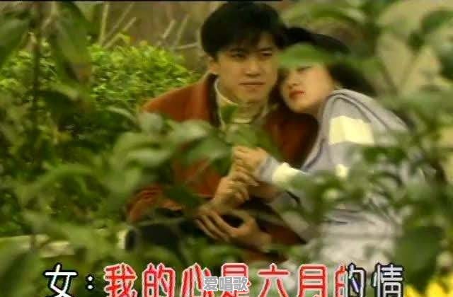 你是否还记得当年歌坛金童玉女毛宁、杨钰莹的《心雨》 你是否还记得当年歌坛金童玉女毛宁、杨钰莹的《心雨》 - 爱唱歌