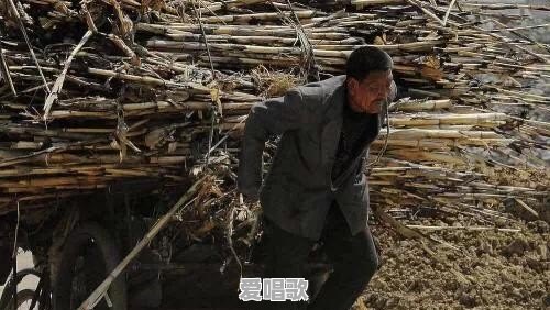 父亲即将步入老年,如何与他融洽相处 父亲即将步入老年,如何与他融洽相处 - 爱唱歌