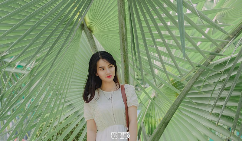 你喜欢越南的歌曲吗?为什么 你喜欢越南的歌曲吗?为什么 - 爱唱歌
