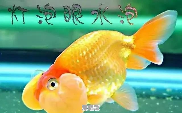 儿童经典老歌有哪些 儿童经典老歌有哪些 - 爱唱歌