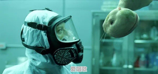 有哪些歌曲的现场演唱让你久久不能忘怀 有哪些歌曲的现场演唱让你久久不能忘怀 - 爱唱歌