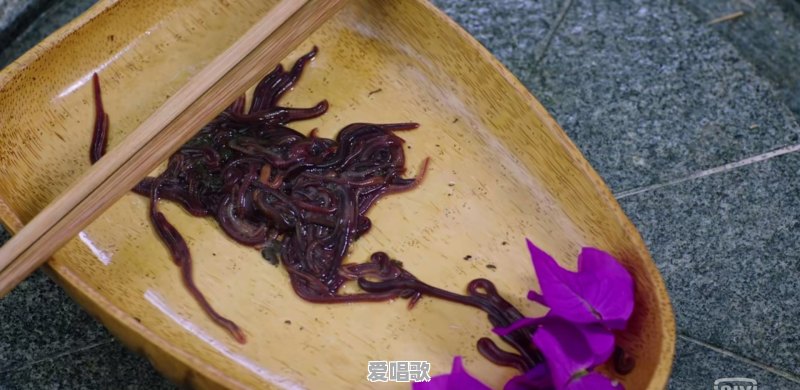 你看过最虐的电视剧是什么 你看过最虐的电视剧是什么 - 爱唱歌