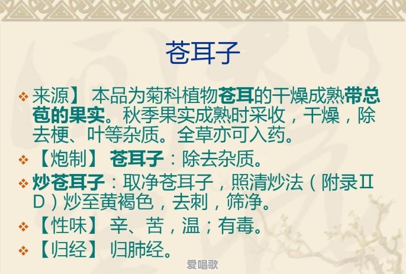 苍耳子最大的作用是什么 - 爱唱歌
