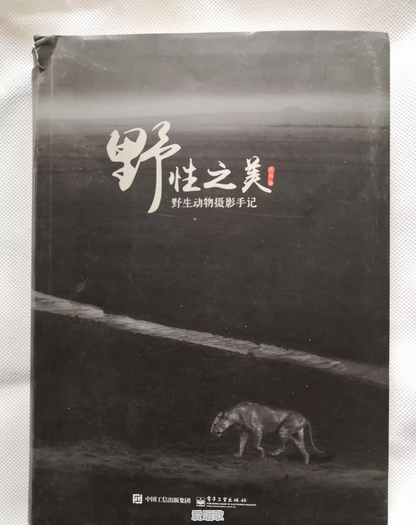自学摄影真的不现实吗 自学摄影真的不现实吗 - 爱唱歌
