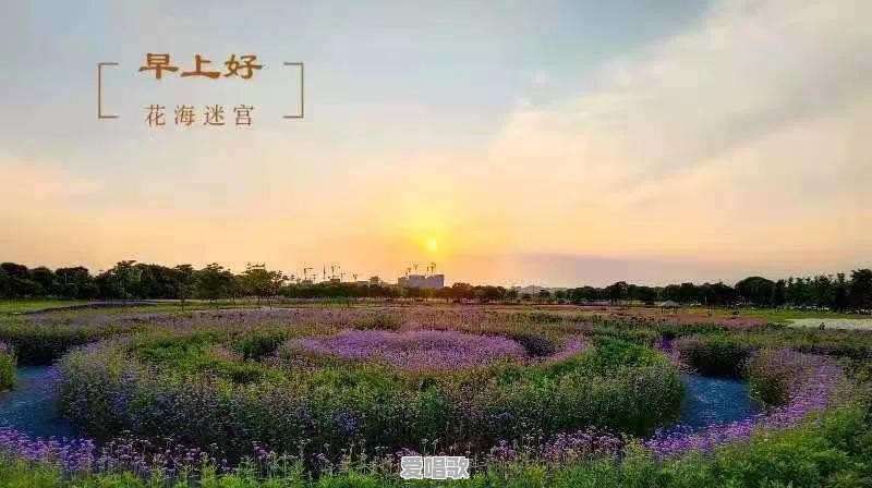 自学摄影真的不现实吗 自学摄影真的不现实吗 - 爱唱歌