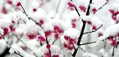1990年出生的属马的人现在过得怎么样 1990年出生的属马的人现在过得怎么样 - 爱唱歌