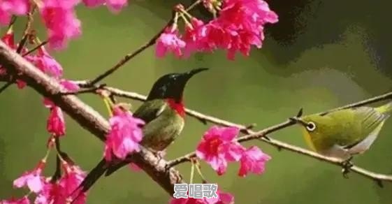 能否推荐几首好听的歌呢,适合小朋友听的 能否推荐几首好听的歌呢,适合小朋友听的 - 爱唱歌