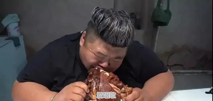 河南农家两胖男孩吃播成网红,其父称想给孩子留回忆遭疑,你怎么看 河南农家两胖男孩吃播成网红,其父称想给孩子留回忆遭疑,你怎么看 - 爱唱歌