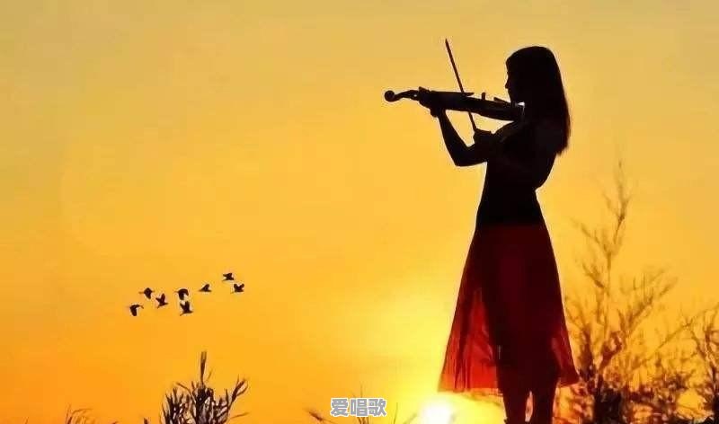 音乐大致分为几种 音乐大致分为几种 - 爱唱歌
