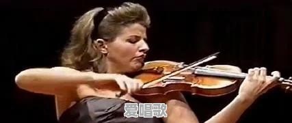 音乐大致分为几种 音乐大致分为几种 - 爱唱歌
