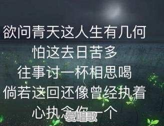 为什么好多老歌在抖音里被翻唱的更火更好听,比如《天下有情人》 为什么好多老歌在抖音里被翻唱的更火更好听,比如《天下有情人》 - 爱唱歌