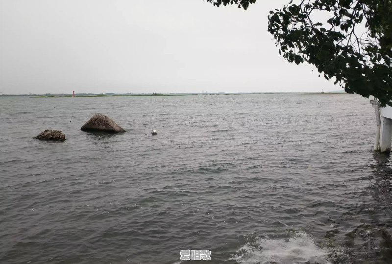 为什么好多老歌在抖音里被翻唱的更火更好听,比如《天下有情人》 为什么好多老歌在抖音里被翻唱的更火更好听,比如《天下有情人》 - 爱唱歌