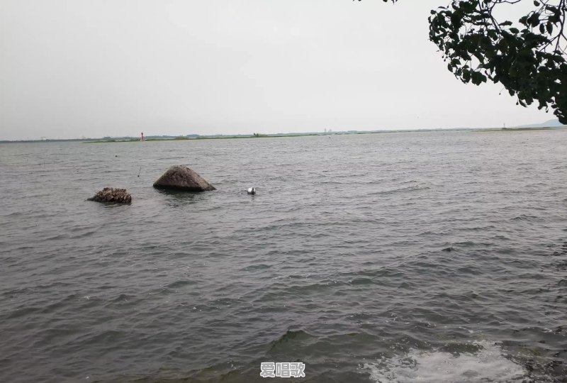 为什么好多老歌在抖音里被翻唱的更火更好听,比如《天下有情人》 为什么好多老歌在抖音里被翻唱的更火更好听,比如《天下有情人》 - 爱唱歌