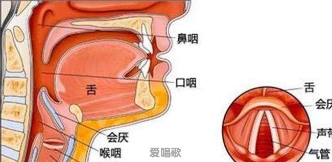 唱歌怎么防止声音嘶哑 唱歌怎么防止声音嘶哑 - 爱唱歌