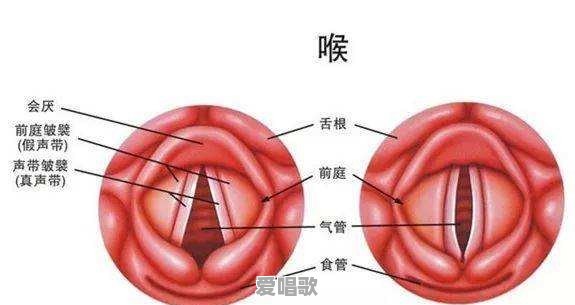 唱歌怎么防止声音嘶哑 唱歌怎么防止声音嘶哑 - 爱唱歌