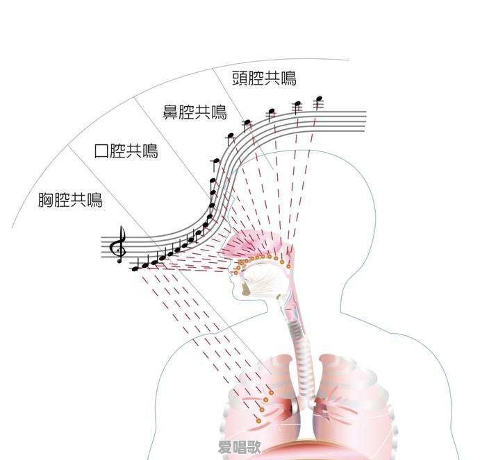 唱歌的气息走向共鸣的位置怎么解决 唱歌的气息走向共鸣的位置怎么解决 - 爱唱歌