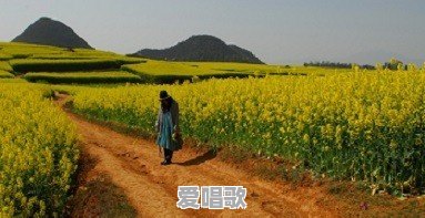 你见过历史上最低调的将军,他低调到什么程度 你见过历史上最低调的将军,他低调到什么程度 - 爱唱歌