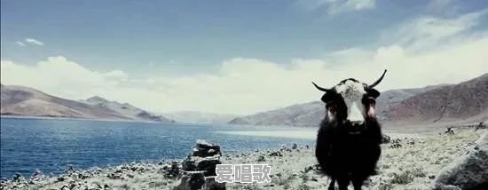 如何评价碧桂园参与拍摄的《行走中国》系列纪录片 如何评价碧桂园参与拍摄的《行走中国》系列纪录片 - 爱唱歌