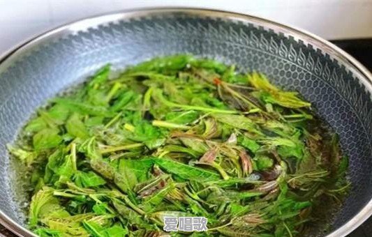香椿需要焯水吗?香椿怎么做好吃呢 香椿需要焯水吗?香椿怎么做好吃呢 - 爱唱歌