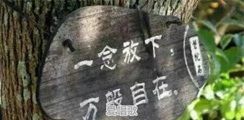爱上一个不该爱的人，到底要不要放弃 - 爱唱歌