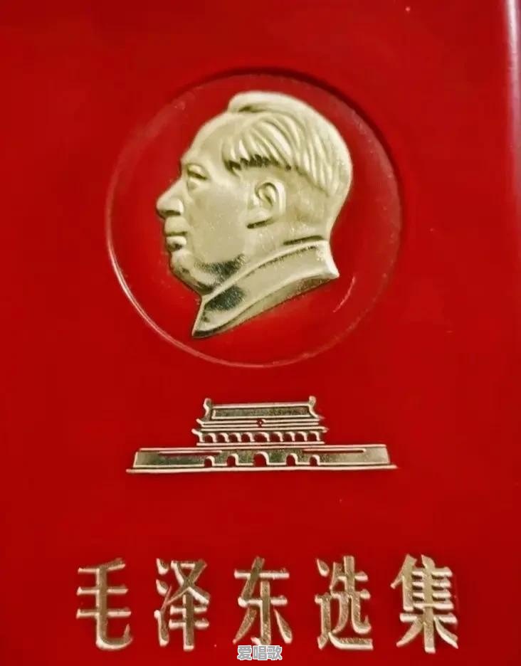阿彪网红歌手 阿彪网红歌手 - 爱唱歌