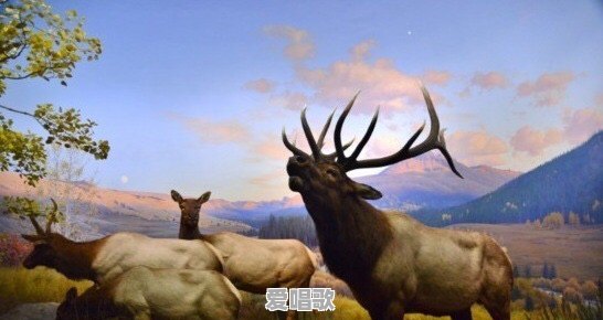 能分享一下你们喜欢的油画吗 能分享一下你们喜欢的油画吗 - 爱唱歌
