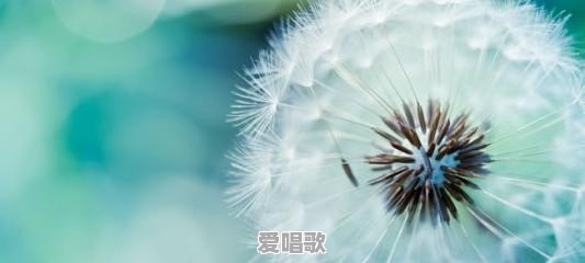 怎样掌握平水韵的规律 怎样掌握平水韵的规律 - 爱唱歌