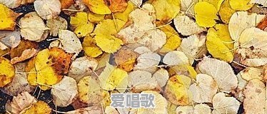 怎样掌握平水韵的规律 怎样掌握平水韵的规律 - 爱唱歌