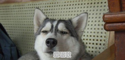 为什么以前那么多黑周杰伦的,现在几乎没有了,因为什么让你对他路转粉 为什么以前那么多黑周杰伦的,现在几乎没有了,因为什么让你对他路转粉 - 爱唱歌