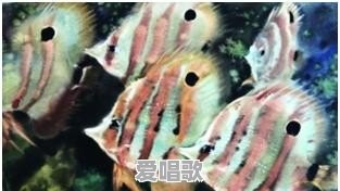 三国时期广东属于谁的管辖范围 - 爱唱歌