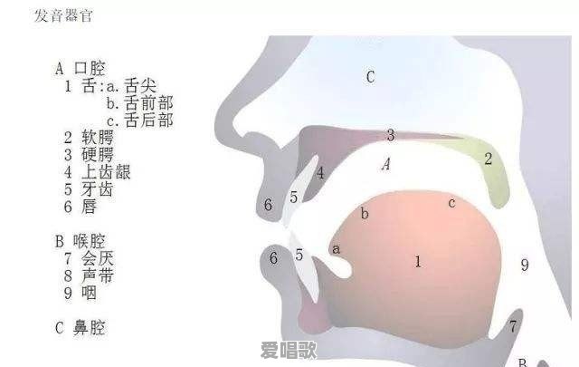 新歌听不懂,老歌不敢听,请问有没有好的音乐公众号,有什么推荐 新歌听不懂,老歌不敢听,请问有没有好的音乐公众号,有什么推荐 - 爱唱歌