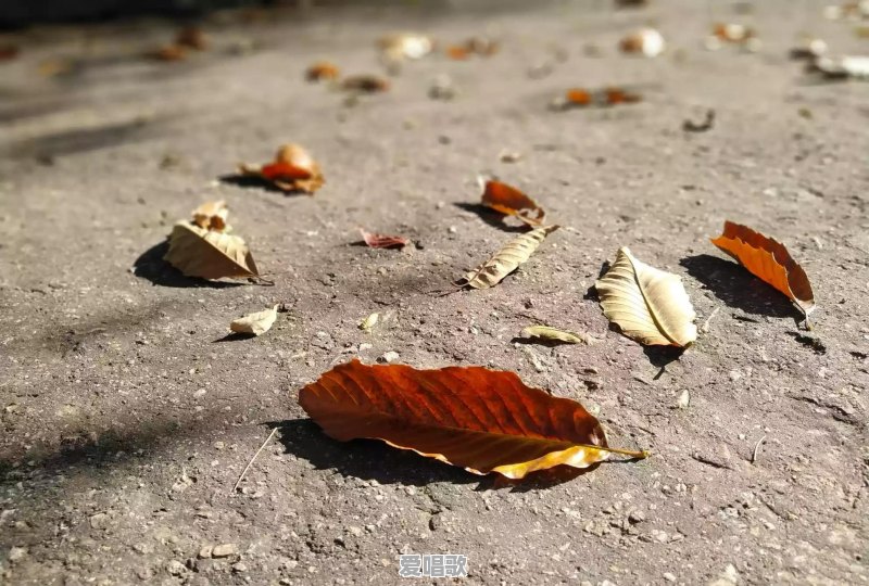 人体艺术真的大部分是展示女人吗?为什么 人体艺术真的大部分是展示女人吗?为什么 - 爱唱歌