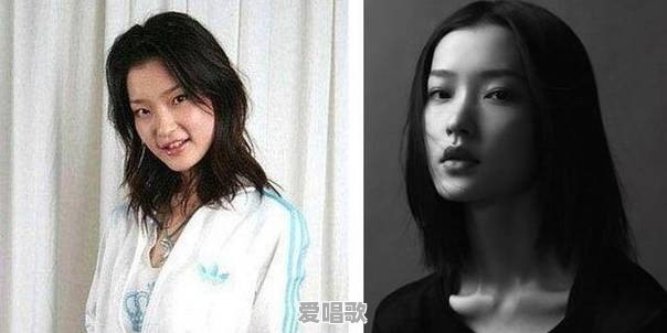 除了袁泉,还有哪些明星长得本来就很高级 除了袁泉,还有哪些明星长得本来就很高级 - 爱唱歌