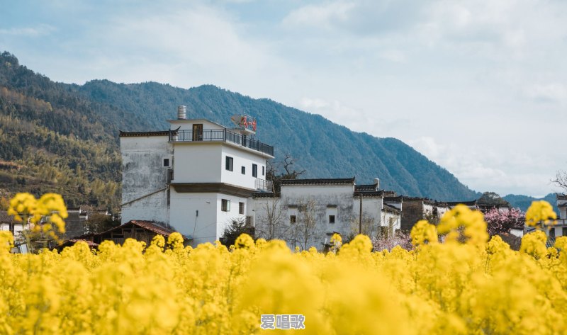 春季郊游你喜欢去哪里 春季郊游你喜欢去哪里 - 爱唱歌