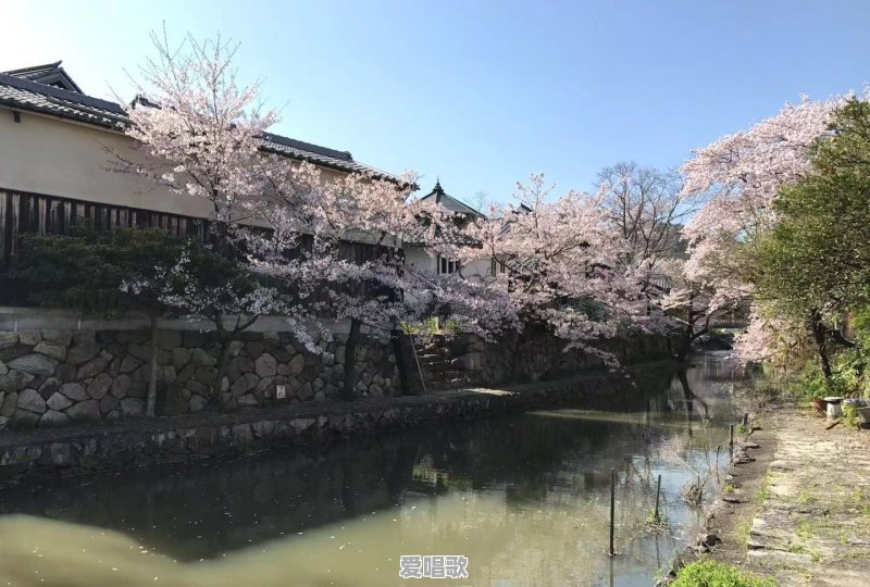 春季郊游你喜欢去哪里 春季郊游你喜欢去哪里 - 爱唱歌
