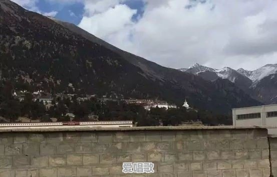 “百香籽”文玩手串火爆的背后有啥猫腻 - 爱唱歌