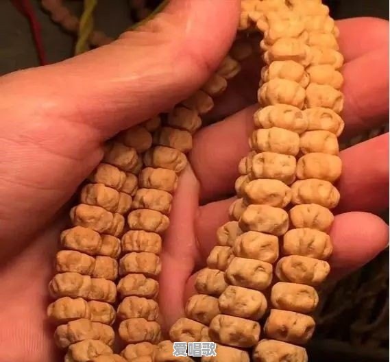 “百香籽”文玩手串火爆的背后有啥猫腻 - 爱唱歌