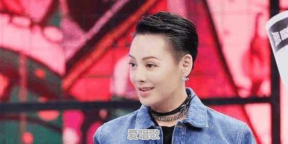 郑伊健的电影哪部最好看 郑伊健的电影哪部最好看 - 爱唱歌