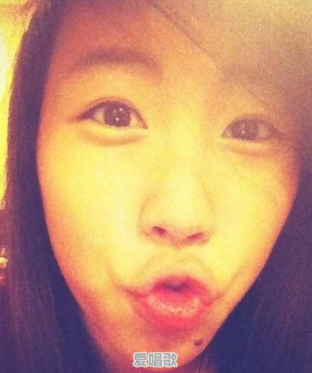 郑伊健的电影哪部最好看 郑伊健的电影哪部最好看 - 爱唱歌