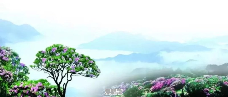 音乐给你带来了哪些快乐 音乐给你带来了哪些快乐 - 爱唱歌