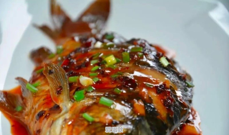 鲫鱼现在市场上6块一斤都很少有人买,为何不受待见了 鲫鱼现在市场上6块一斤都很少有人买,为何不受待见了 - 爱唱歌
