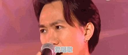 广东人过年为什么喜欢在家里插上一支桃花呢 - 爱唱歌