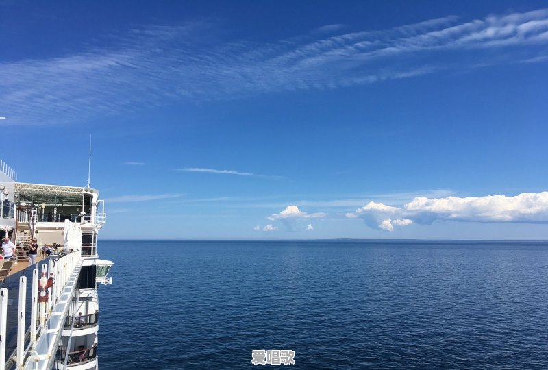 鲸鱼为什么会搁浅?这是一种什么行为 鲸鱼为什么会搁浅?这是一种什么行为 - 爱唱歌