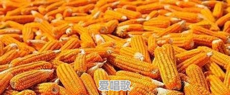 一九年秋新粮上市价格如何 - 爱唱歌