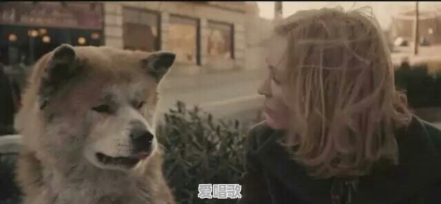 有哪些根据真实事件改编的电影震撼过你 有哪些根据真实事件改编的电影震撼过你 - 爱唱歌