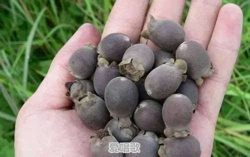 被陌生人问路时,你听过最奇葩的称呼是什么 被陌生人问路时,你听过最奇葩的称呼是什么 - 爱唱歌
