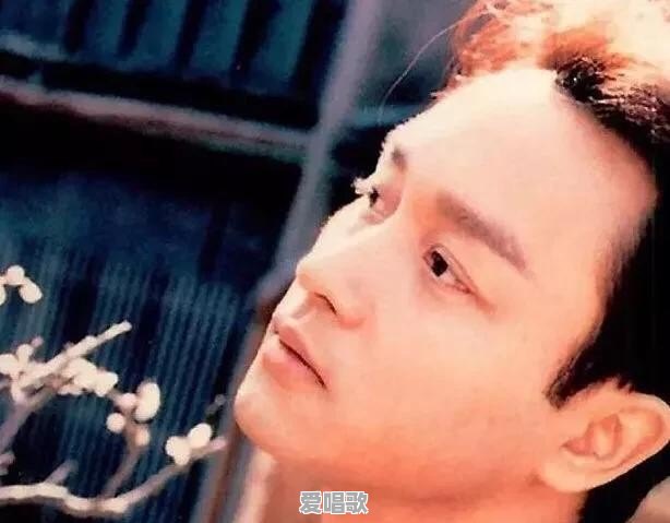 哪首歌曲让你久久不能忘怀 哪首歌曲让你久久不能忘怀 - 爱唱歌