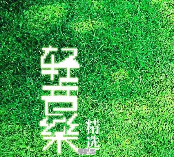 你听过的超好听的电台背景音乐(配乐)都有哪些呢 你听过的超好听的电台背景音乐(配乐)都有哪些呢 - 爱唱歌