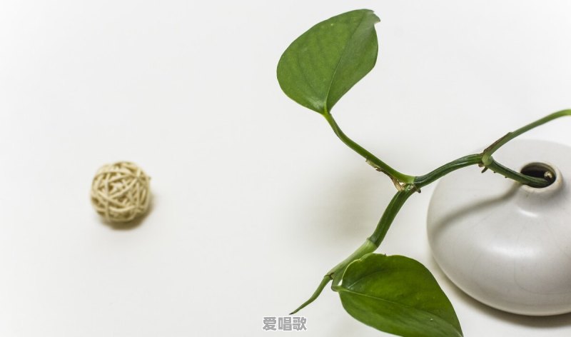 有哪些“秘笈”的句子可推荐 有哪些“秘笈”的句子可推荐 - 爱唱歌